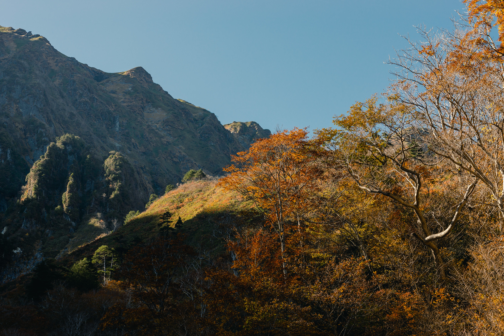 光踊る紅葉の谷川岳 – マチガ沢・一ノ倉沢を楽しむ