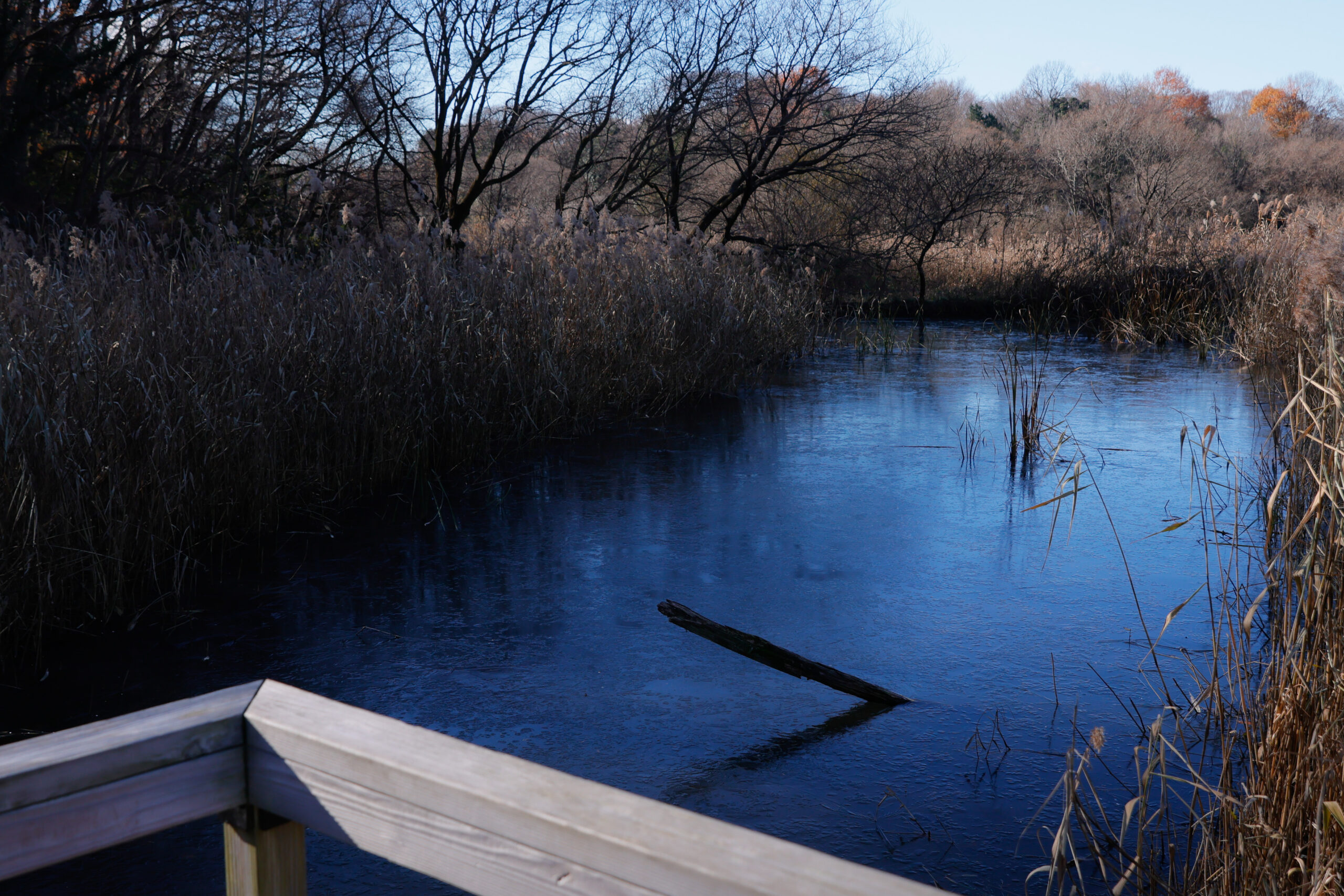 抽象的な自然風景写真 水の色が青く見える風景写真の場所、実際は全く青くない→どこまでの