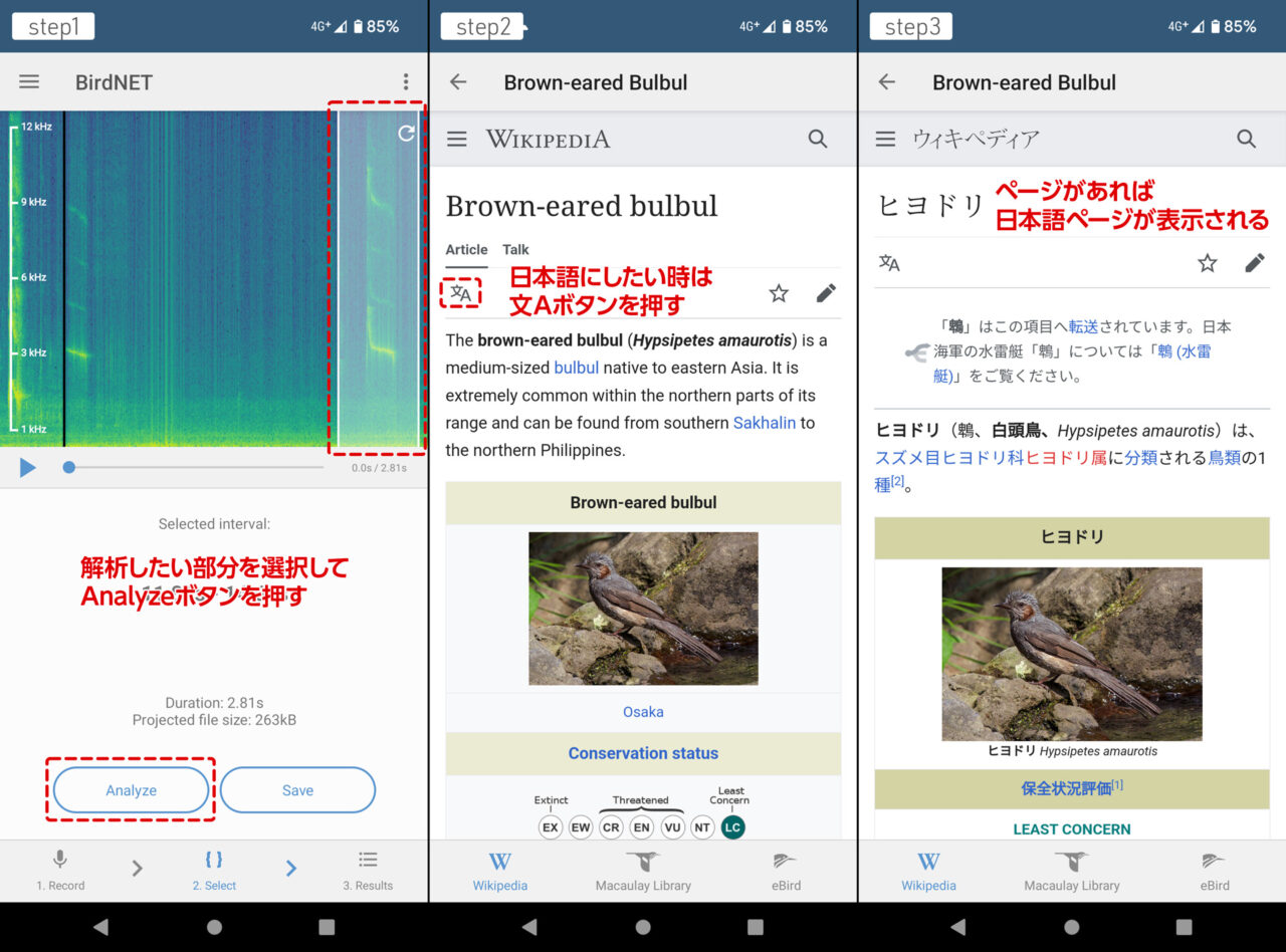 Bird Net Gui 野鳥観察が捗る音声解析アプリ「BirdNET」 | SpaceFlier